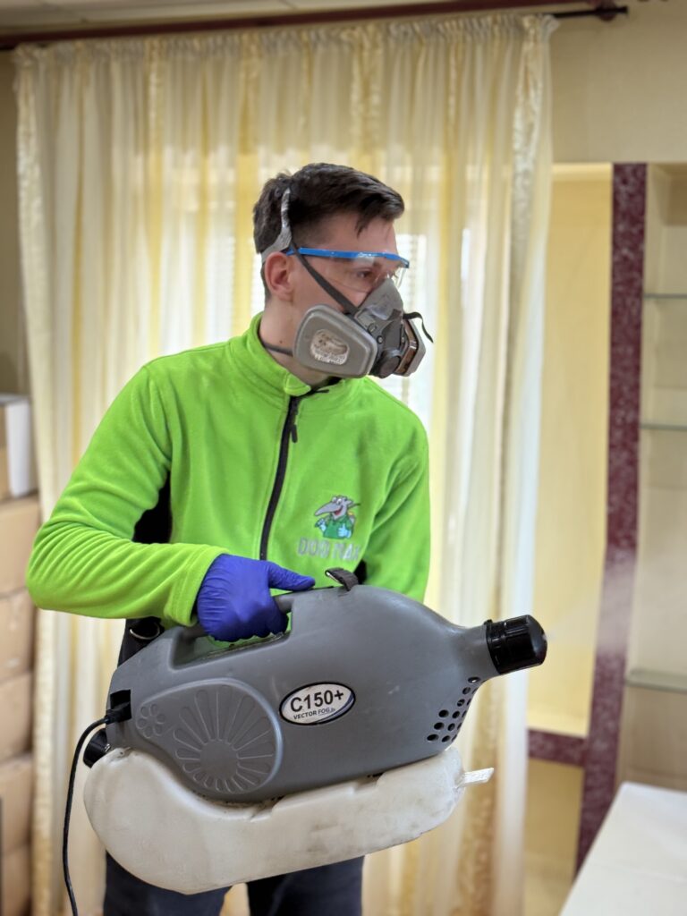 Dezinsectie completă și sigură Iași